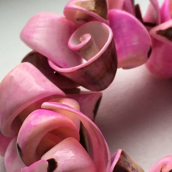 Pink Curly Conch Shell Stretch Bracelet - Picture 7 of 10